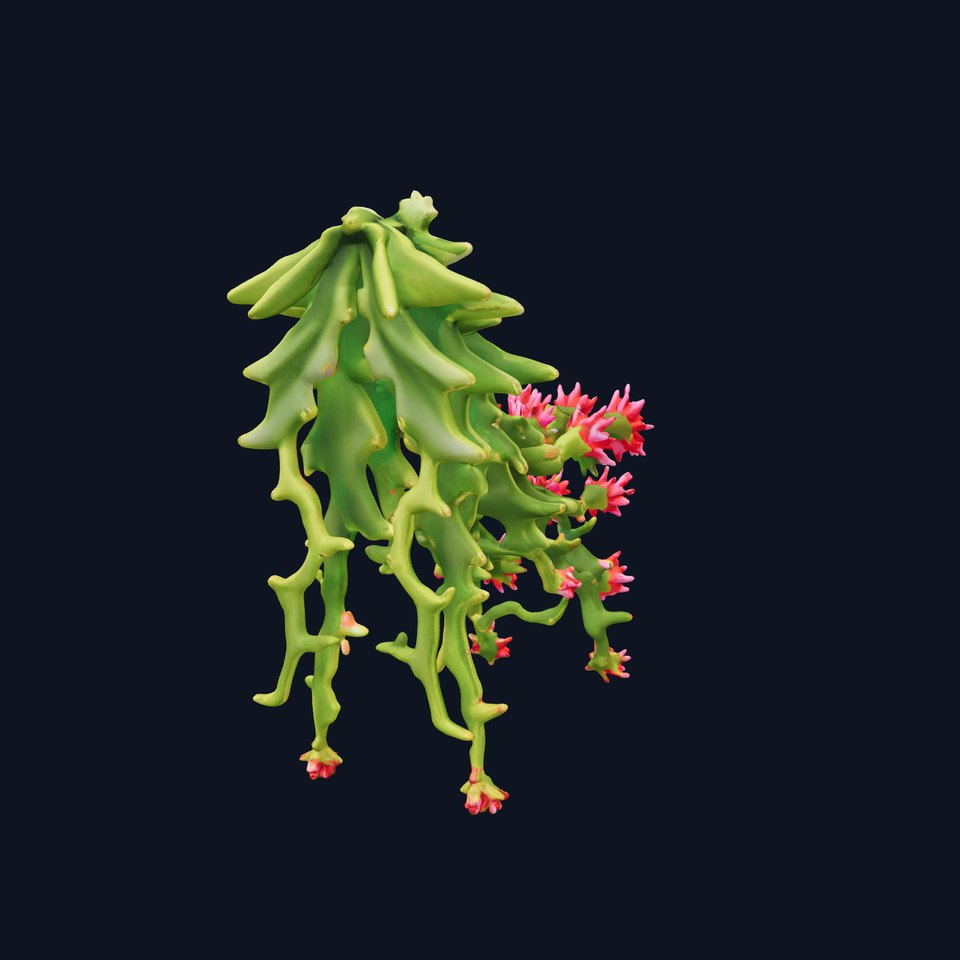 Vibrant Cactus Bloom model pack